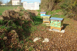 Rûches abeilles